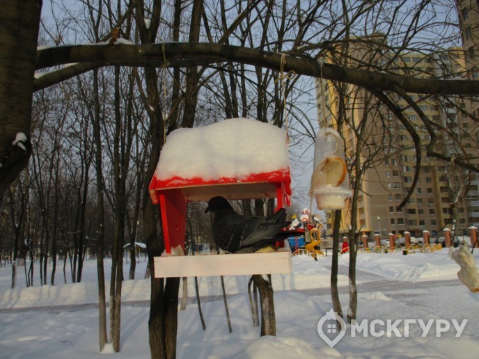 “Новокосино-2”: счастливый финал долгостроя в Реутове - Фото 8